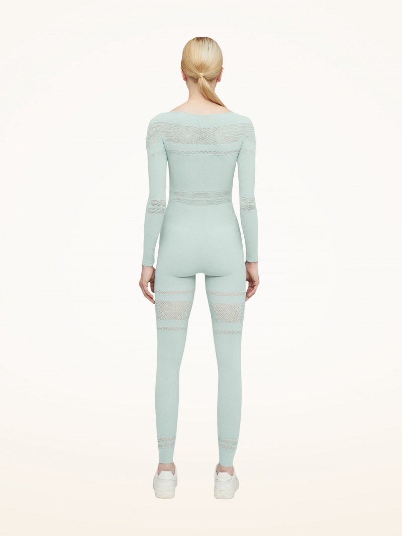 Aqua Wolford Net Lines Jumpsuit | 8921ACNEJ