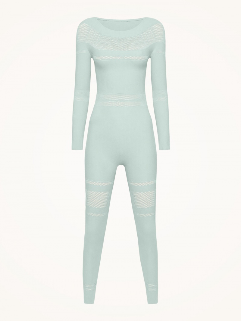 Aqua Wolford Net Lines Jumpsuit | 8921ACNEJ