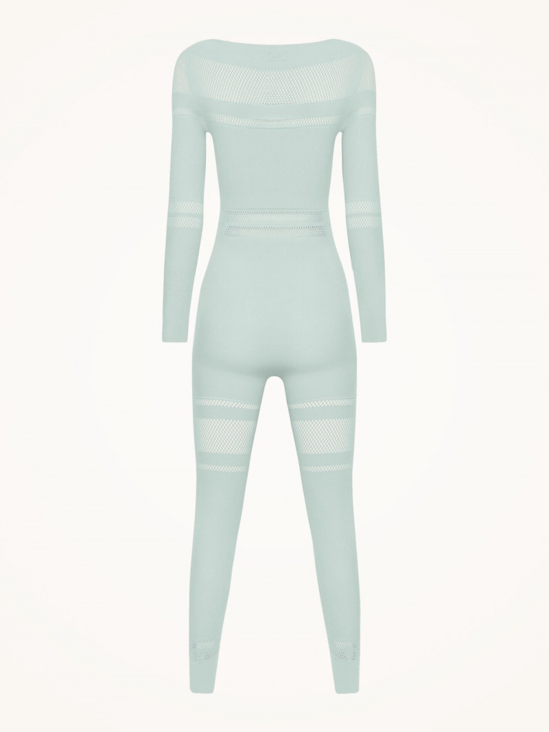 Aqua Wolford Net Lines Jumpsuit | 8921ACNEJ