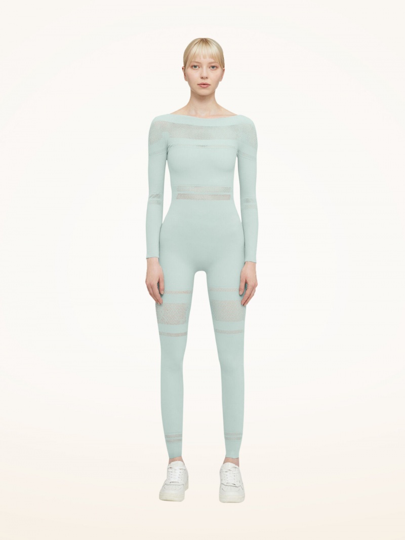 Aqua Wolford Net Lines Jumpsuit | 8921ACNEJ