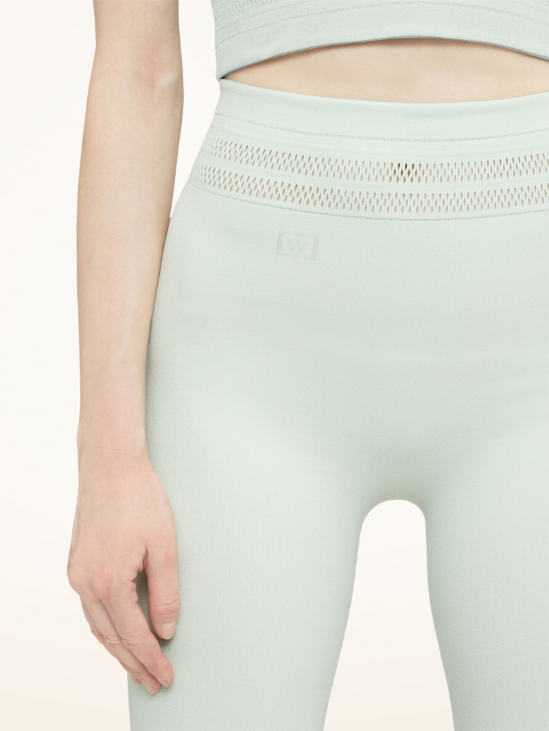 Aqua Wolford Net Lines Leggings | 0153MFTSH