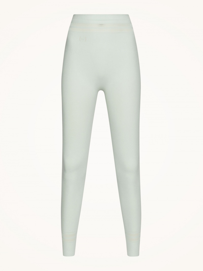 Aqua Wolford Net Lines Leggings | 0153MFTSH