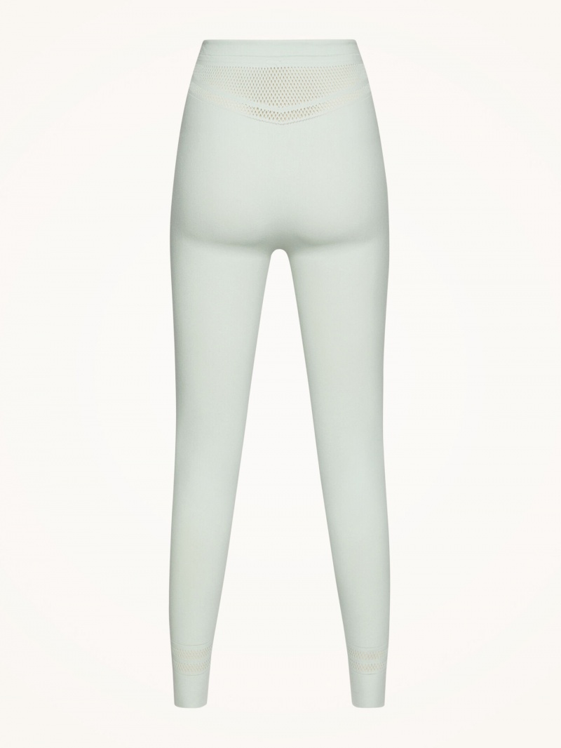 Aqua Wolford Net Lines Leggings | 0153MFTSH