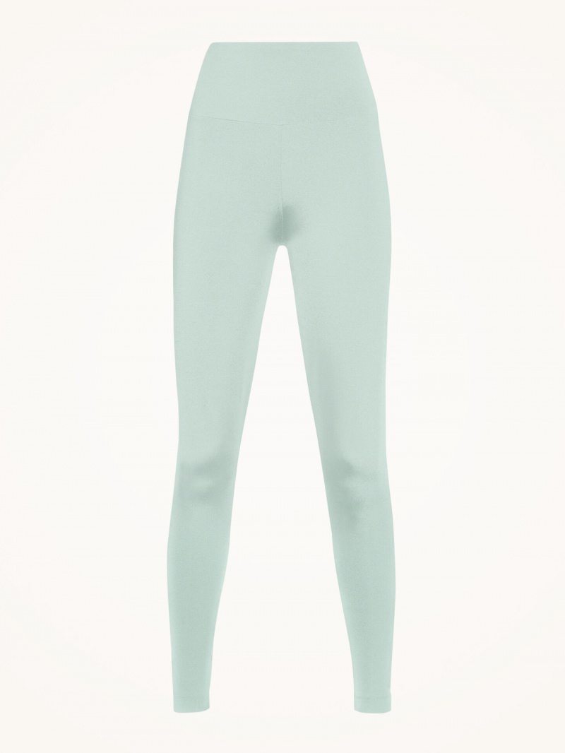 Aqua Wolford The Workout Leggings | 4576UTDCQ