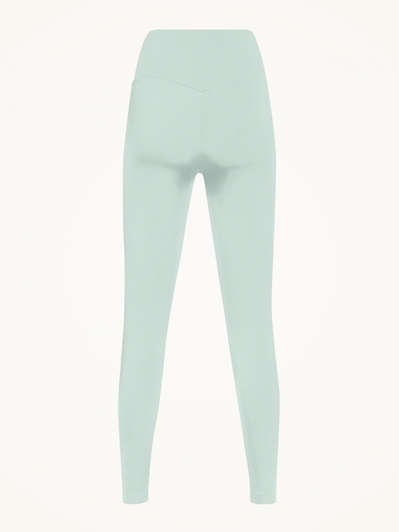 Aqua Wolford The Workout Leggings | 4576UTDCQ