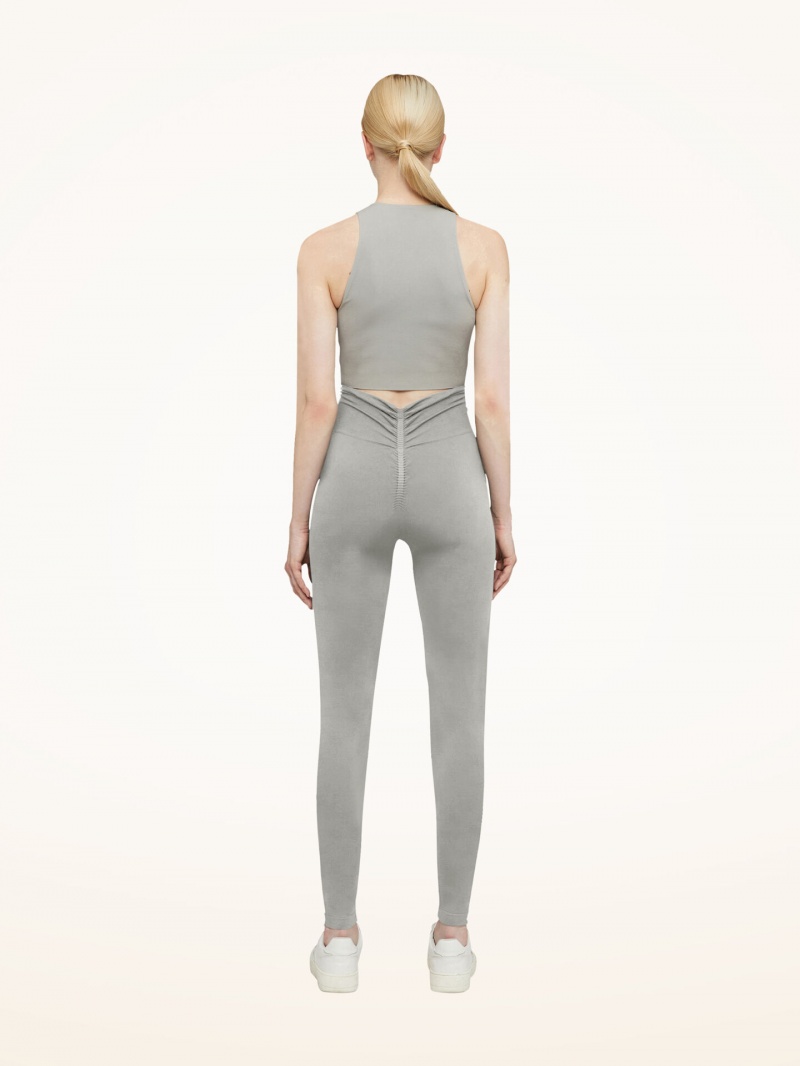 Ash Wolford Body Shaping Leggings | 3420EGXND