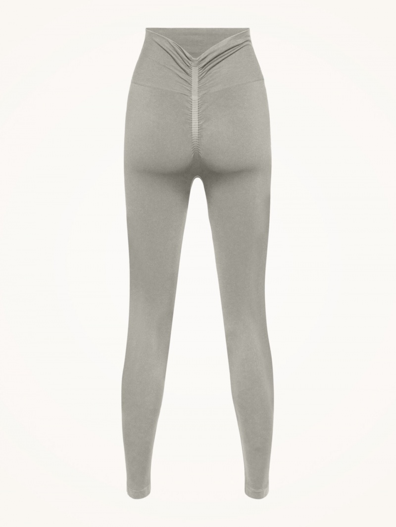 Ash Wolford Body Shaping Leggings | 3420EGXND