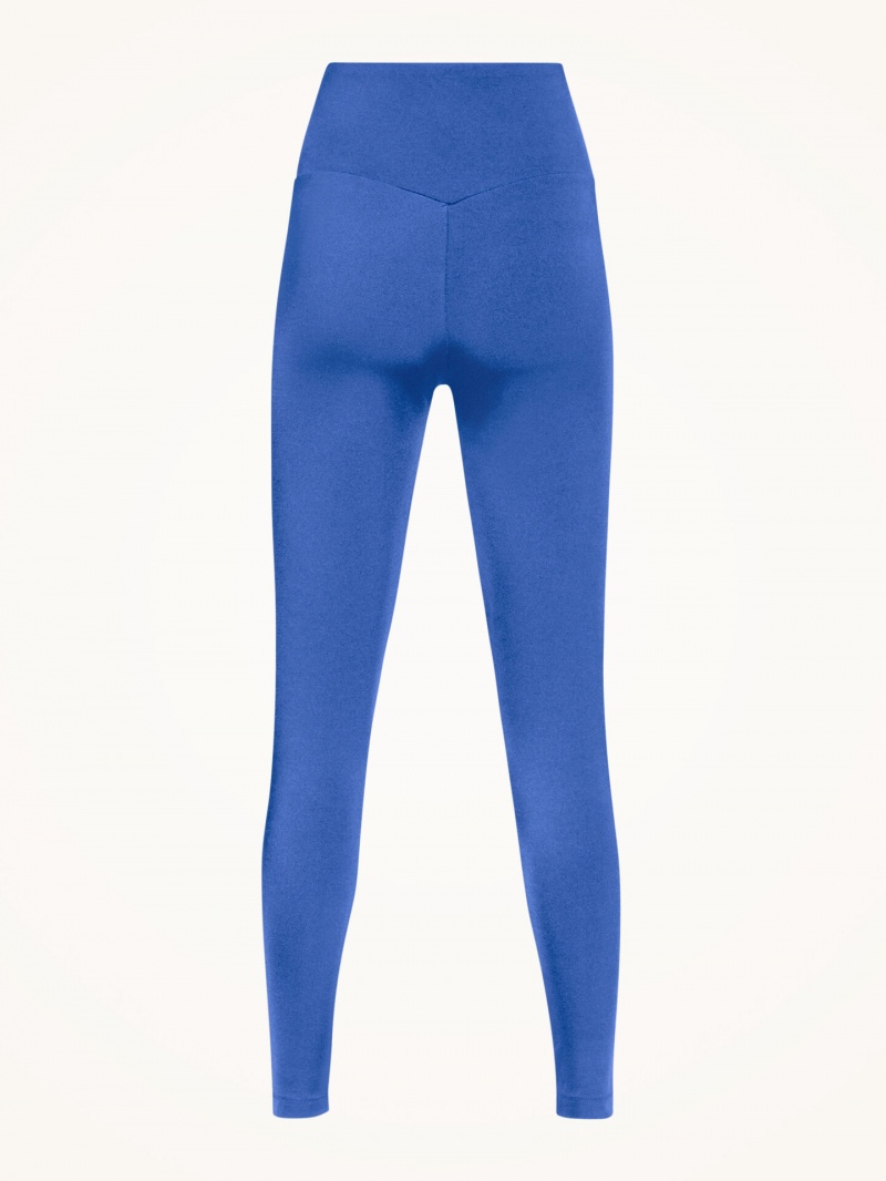 Dazzling Blue Wolford The Workout Leggings | 9735WDHTM