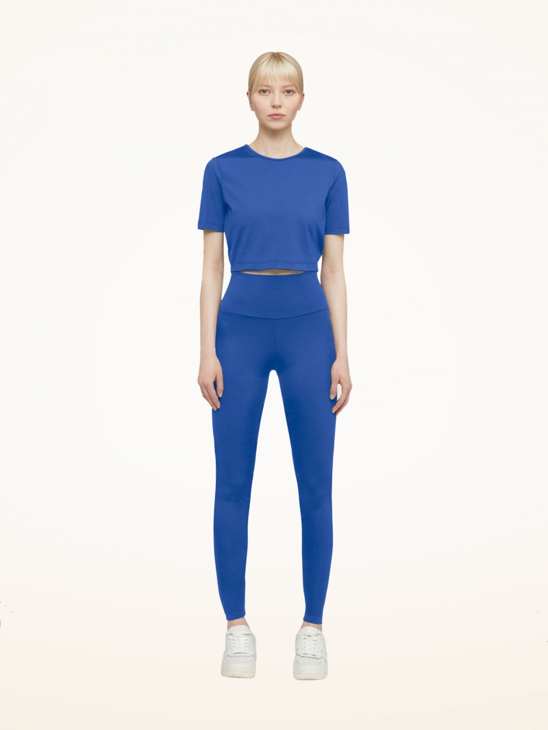 Dazzling Blue Wolford The Workout Leggings | 9735WDHTM